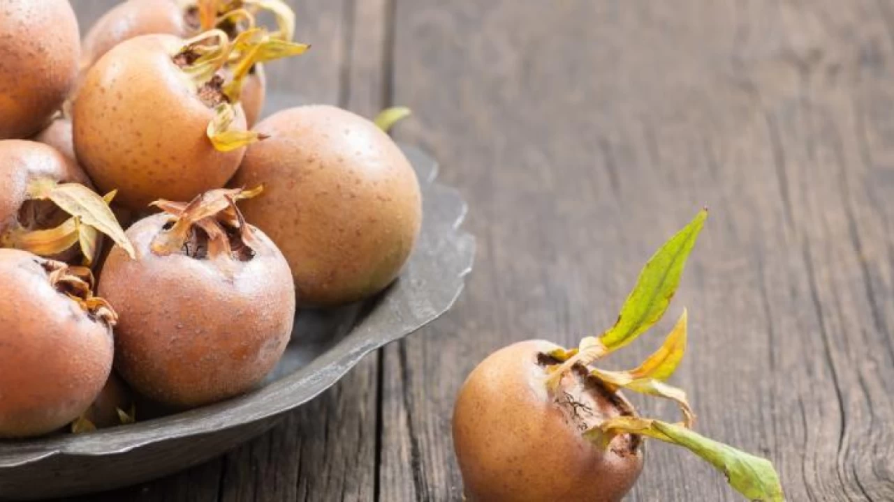 خواص ازگیل: گنجینه پاییزی سرشا