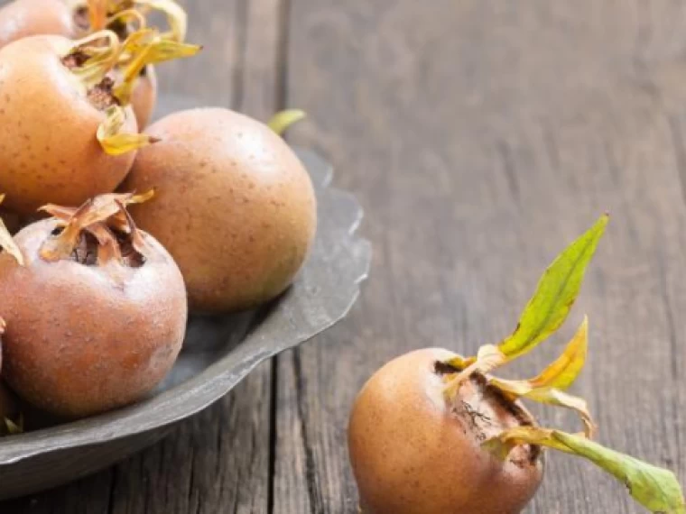 خواص ازگیل: گنجینه پاییزی سرشا