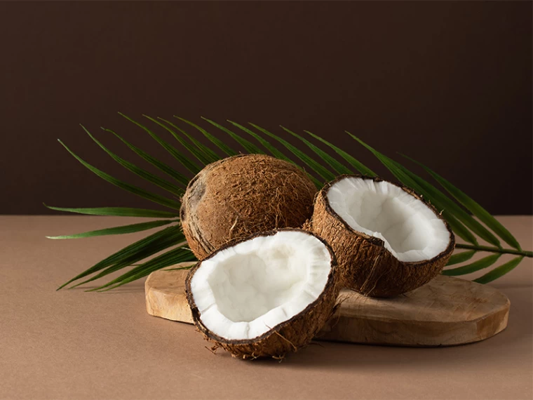 Coconut: A Tropical Fruit with